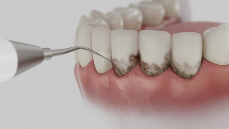 Reliable Dental contractor in West Mountain, UT by Dentist Open Now